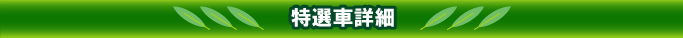 特選車詳細