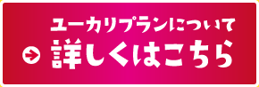 そのヒミツは次のページへ