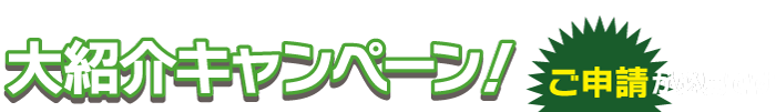 大紹介キャンペーン！