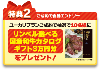 ＜特典２＞抽選で10名様にリンベル選べる国産和牛カタログギフト3万円分