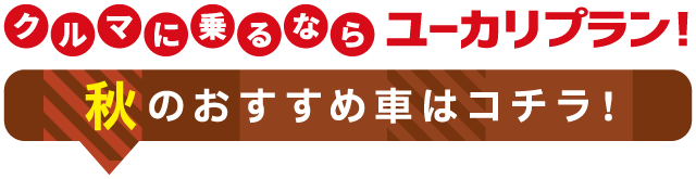 クルマに乗るならユーカリプラン！秋のおすすめ車はコチラ！