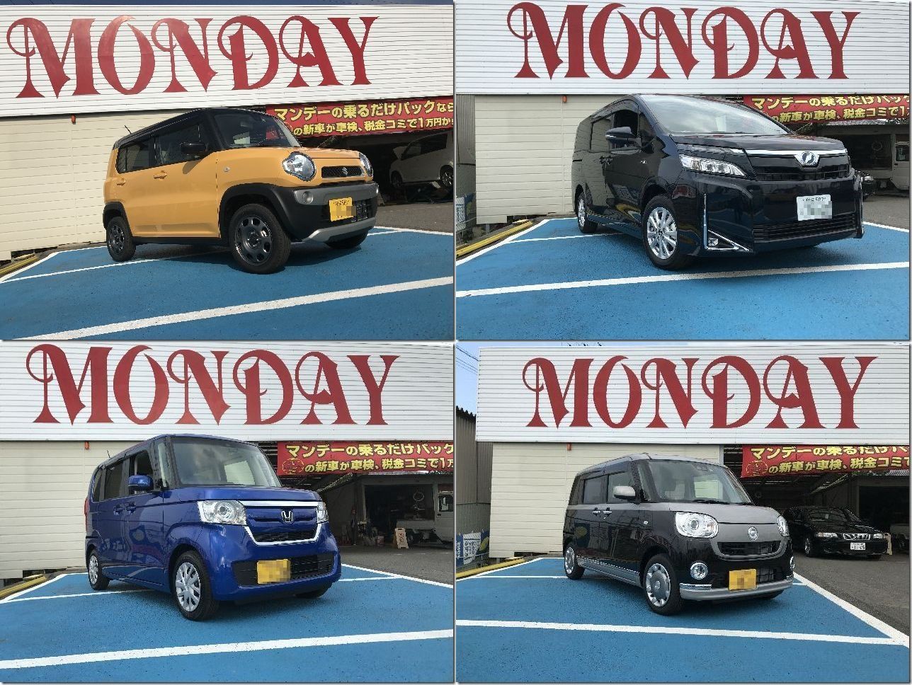 車の新しい乗り方 コアラクラブのユーカリプラン