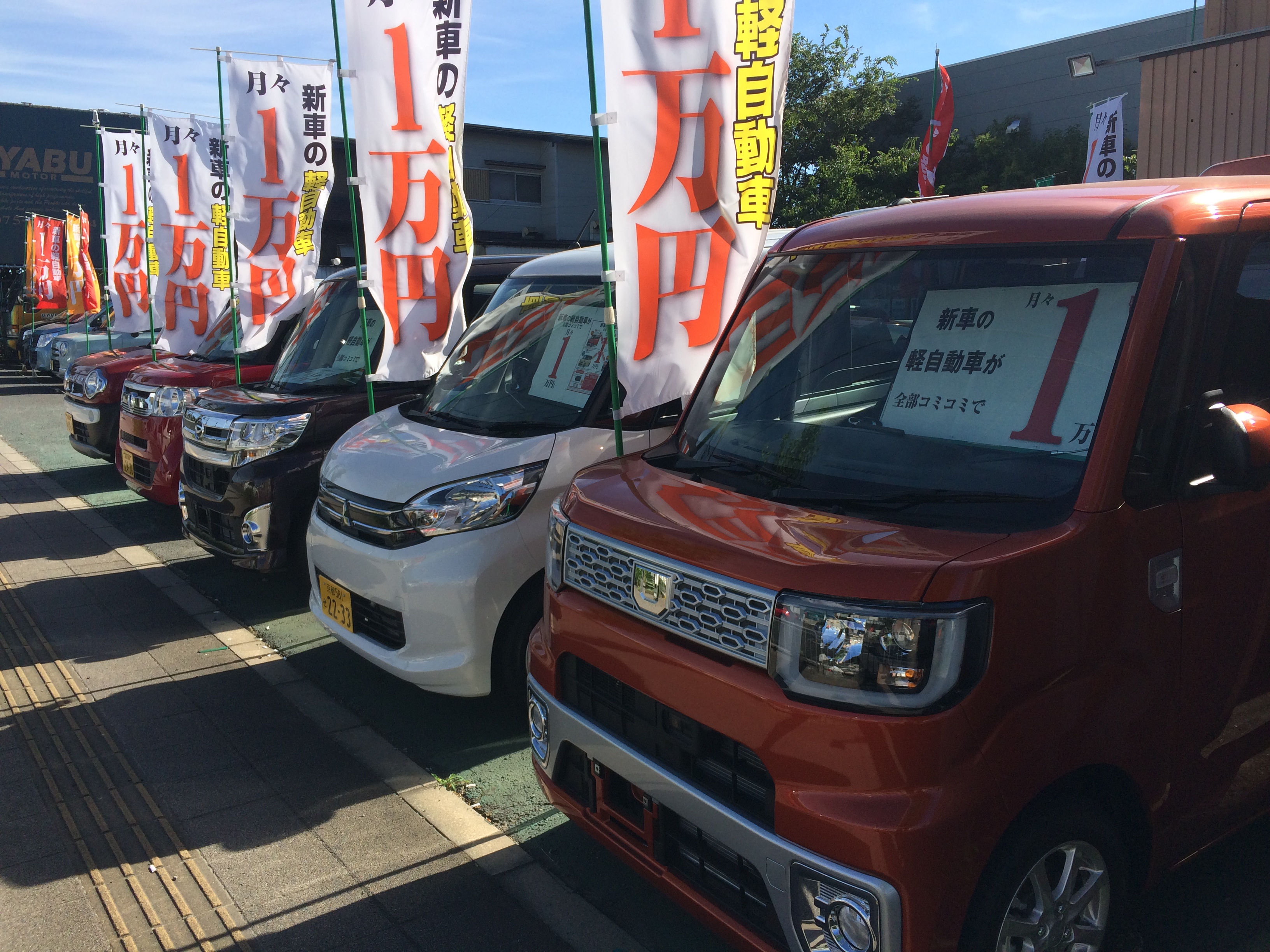 車の新しい乗り方 コアラクラブのユーカリプラン 車の新しい乗り方 コアラクラブのユーカリプラン