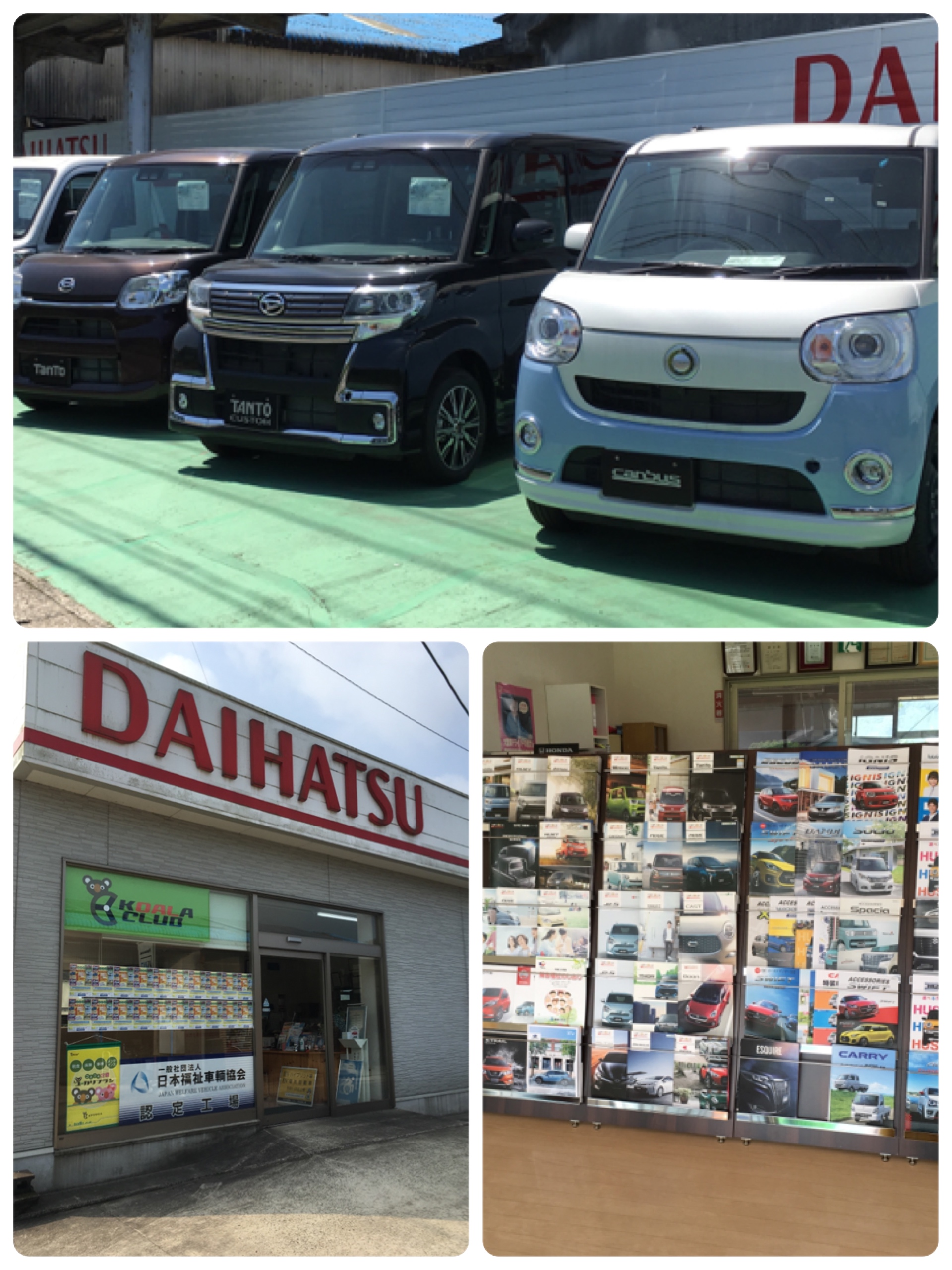 車の新しい乗り方 コアラクラブのユーカリプラン