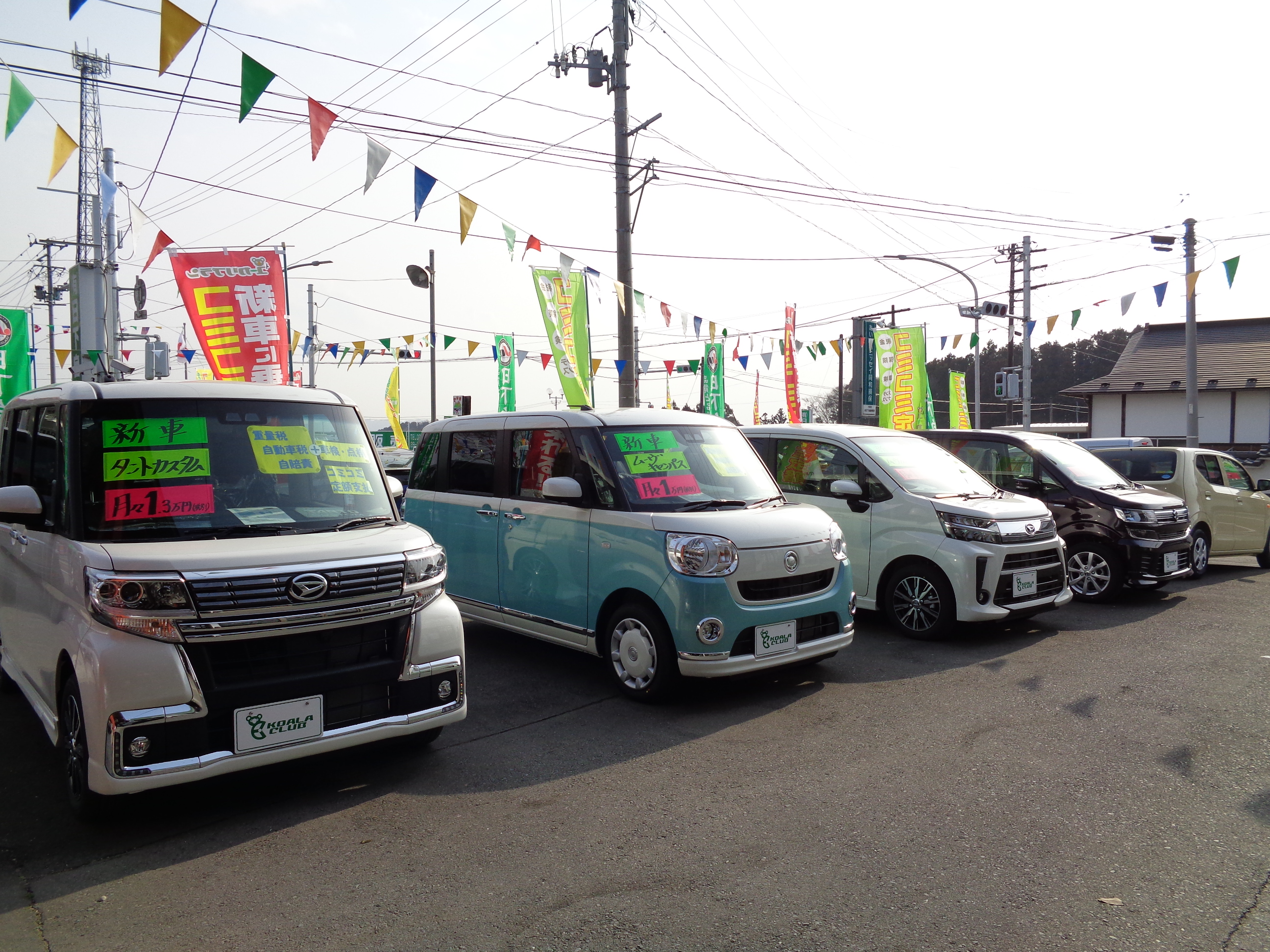 車の新しい乗り方 コアラクラブのユーカリプラン