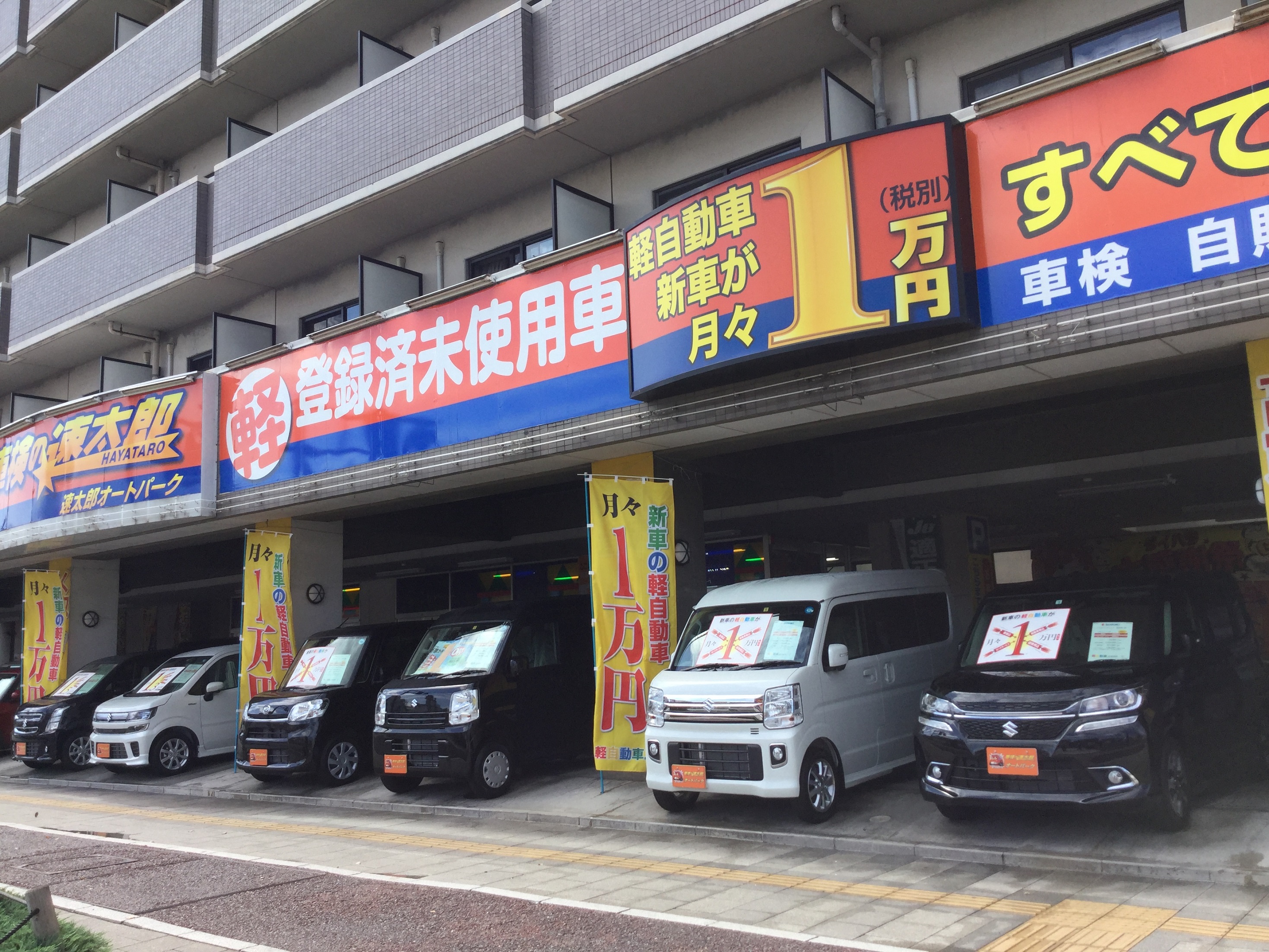 車の新しい乗り方 コアラクラブのユーカリプラン