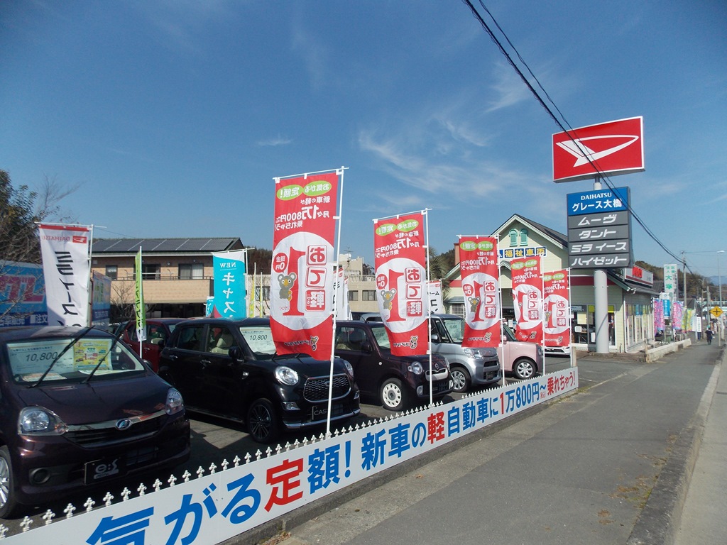 車の新しい乗り方 コアラクラブのユーカリプラン