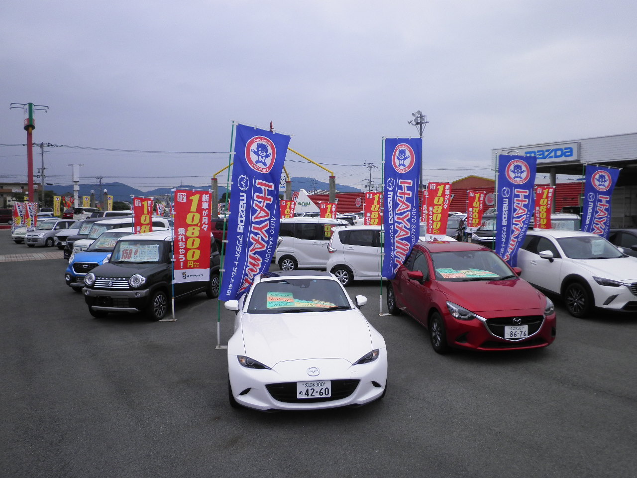 車の新しい乗り方 コアラクラブのユーカリプラン