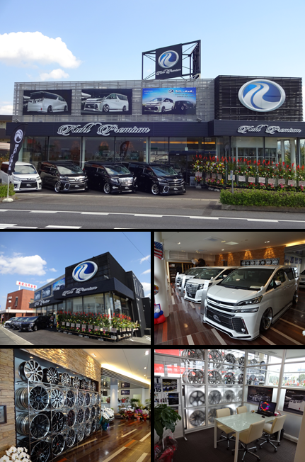 車の新しい乗り方 コアラクラブのユーカリプラン