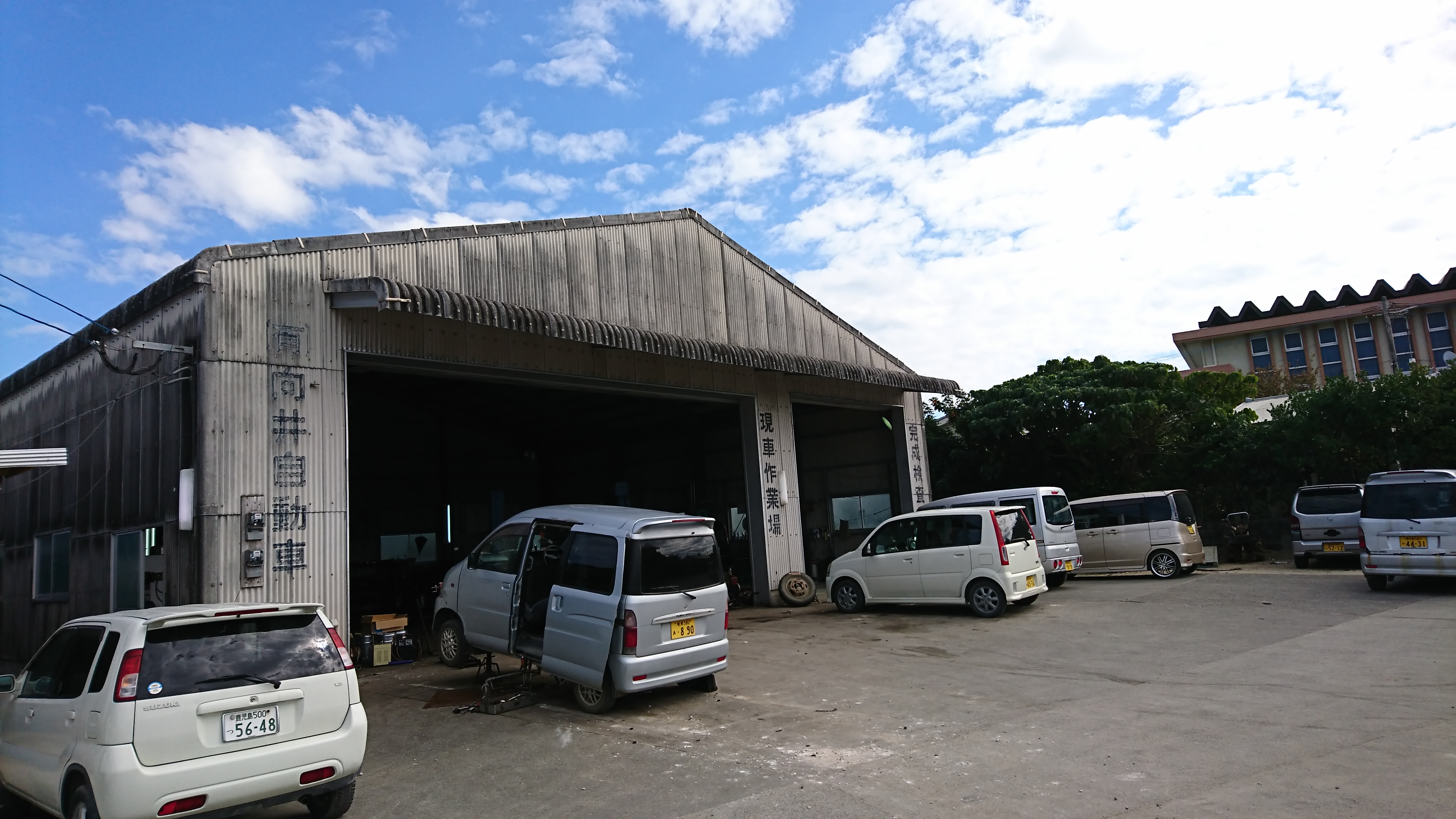 車の新しい乗り方 コアラクラブのユーカリプラン