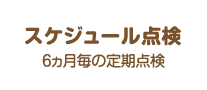 スケジュール点検：6ヵ月毎の定期点検