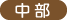 中部